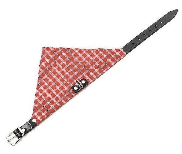 Das KOLIBRI Halsband von Karlie ist das perfekte Accessoire für stilbewusste Haustierbesitzer. Hergestellt aus echtem, schwarz eingefärbtem Leder, bietet es nicht nur eine hohe Qualität, sondern auch außergewöhnliche Langlebigkeit. Die verchromten Beschläge verleihen dem Halsband einen eleganten Touch, während das dreieckige Halstuch im klassischen Karo-Stil Ihrem Hund oder Ihrer Katze einen besonderen Look verleiht. Dieses Halsband ist nicht nur ein echter Hingucker, sondern sorgt auch dafür, dass Ihr Liebling bei jedem Spaziergang im Park die Blicke auf sich zieht. Investieren Sie in das KOLIBRI Halsband von Karlie und kombinieren Sie Stil mit Funktionalität für Ihr Haustier!