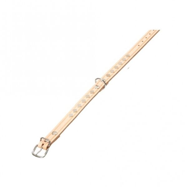 Das Rondo Lederhalsband in einem natürlichen Farbton ist die perfekte Wahl für stilbewusste Hundebesitzer. Mit einer Gesamtlänge von ca. 27 cm und einer Breite von ca. 10 mm bietet dieses hochwertige Halsband optimalen Komfort und eine lange Haltbarkeit. Der robuste Beschlag sorgt für zusätzliche Sicherheit und ist ideal für tägliche Spaziergänge. Dieses elegante und gleichzeitig praktische Lederhalsband vereint hohe Qualität mit einem ansprechenden Design, sodass Ihr Hund immer gut aussieht. Entscheiden Sie sich für das Rondo Lederhalsband und genießen Sie die Vorteile eines günstigen, aber stilvollen Zubehörs für Ihren vierbeinigen Freund!