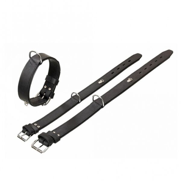 Dieser robuste und widerstandsfähige Hundehalsband in elegantem Schwarz ist die perfekte Wahl für anspruchsvolle Hundebesitzer. Hergestellt aus hochwertigem Nappaleder, bietet es nicht nur einen hohen Tragekomfort, sondern ist auch leicht zu reinigen und zu pflegen. Die verstellbare Länge von 64,5 cm bis 76,5 cm und die Gesamtlänge von ca. 80 cm bei einer Breite von 45 mm sorgen für eine optimale Passform. Mit gerundeten Lederkanten und verchromten Beschlägen ist dieses Halsband nicht nur stilvoll, sondern auch langlebig. Zudem verfügt es über eine praktische Ringöse zur Befestigung einer Adresstube, die nicht im Lieferumfang enthalten ist. Wählen Sie dieses hochwertige Produkt für Ihren Vierbeiner und genießen Sie die Kombination aus Funktionalität und Stil!