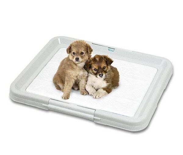 Das PUPPY POTTY ist die ideale Lösung für Hundewelpen, die noch stubenrein werden müssen. Diese praktische Toilette für kleine Racker schützt Ihren Boden, während Ihr Welpe lernt, draußen sein Geschäft zu erledigen. Das robuste Kunststoffgestell ist mit extrem saugfähigen Vlies-Pads ausgestattet, die einfach gewechselt werden können und somit eine hygienische Lösung bieten. Mit den kompakten Maßen von 49,5 x 39,5 x 4 cm passt das Welpen-WC in jede Wohnung und ist perfekt für die ersten Schritte zur Stubenreinheit. Investieren Sie in das PUPPY POTTY und erleichtern Sie sich und Ihrem Hund das Leben!