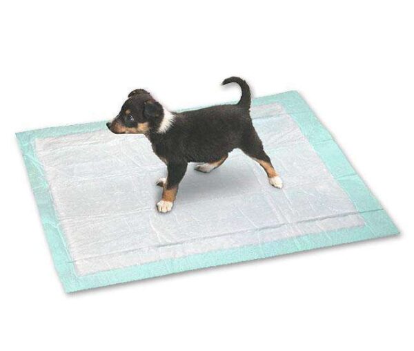 Die PUPPY PADS sind ideale Einlagen für das PUPPY POTTY, das perfekte Welpen-WC für Ihr Zuhause. Hergestellt aus einem hochsaugfähigen Vlies, absorbieren diese Pads unangenehme Gerüche schnell und effektiv, wodurch Ihr Boden optimal vor Verunreinigungen geschützt ist. In jedem Pack sind 24 hochwertige Vlies-Einlagen enthalten, die eine praktische Größe von 48 x 40 cm haben. Diese Einlagen passen perfekt in das PUPPY POTTY der renommierten Marke Karlie und lassen sich kinderleicht einlegen. Sorgen Sie für eine saubere und angenehme Umgebung für Ihren Welpen mit den PUPPY PADS – die beste Wahl für verantwortungsvolle Hundebesitzer!
