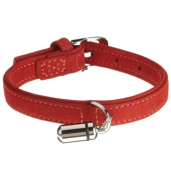 Die Buffalo-Serie - das vielseitige Allroundtalent für Hunde Die Buffalo-Serie bietet hochwertige und praktische Gebrauchsgegenstände für alle Hundearten. Egal ob Sie nach einem robusten Halsband, einer strapazierfähigen Leine oder einem bequemen Geschirr suchen – die Buffalo-Serie ist die beste Wahl für Hundehalter, die Wert auf Qualität und Funktionalität legen. Hergestellt aus hochwertigem Kalbsleder, zeichnet sich diese Produktlinie durch ihre wasserabweisende Imprägnierung und die besonders weiche, samtige Oberfläche aus. Dies sorgt nicht nur für einen hohen Tragekomfort für Ihren Hund, sondern auch für eine angenehme Haptik für Sie als Halter. Vertrauen Sie auf die Buffalo-Serie für langlebige und stilvolle Hundeaccessoires. Gesamtlänge: ca. 24 cmBreite: ca. 10 mm