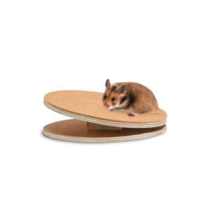 Die Laufscheibe Bogie Disc ist die ideale Alternative zu herkömmlichen Laufrädern und sorgt für eine verbesserte Körperhaltung Ihres Haustieres. Hergestellt aus hochwertigem Holz und mit einer schützenden Korkbeschichtung ausgestattet, schont sie die empfindlichen Füße Ihres Tieres und bietet gleichzeitig optimalen Halt auf dem Laufteller. Das integrierte Kugellager sorgt dafür, dass die Laufscheibe besonders leise läuft, was sie zu einer perfekten Wahl für ruhige Spielstunden macht. Mit einem Durchmesser von ca. 25 cm ist die Bogie Disc für verschiedene Tierarten geeignet und bietet eine sichere und komfortable Möglichkeit, sich zu bewegen und aktiv zu bleiben. Entdecken Sie die Vorteile dieser erstklassigen Laufscheibe und schenken Sie Ihrem Tier ein gesundes und spaßiges Spielerlebnis!
