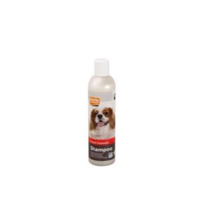 Unser hochwertiges Creme-Shampoo sorgt für ein gesundes und strahlendes Fell, während es gleichzeitig das Haar verstärkt. Angereichert mit pflegendem Olivenöl, bietet es intensive Feuchtigkeit und Nährstoffe für glänzende Ergebnisse. Ideal für alle Felltypen, ist dieses Shampoo eine perfekte Wahl für Tierliebhaber, die hohe Qualität zu einem günstigen Preis suchen. Mit einem Inhalt von 300 ml ist es die ideale Lösung für die tägliche Pflege Ihres Haustiers – für ein glückliches und gesundes Leben!