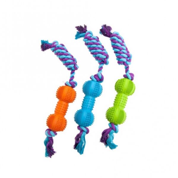 Entdecken Sie unser hochwertiges Spielzeug aus über 50% Naturkautschuk, das perfekt für Wurf- und Zerrspiele geeignet ist. Mit einer Länge von ca. 38 cm bietet es nicht nur hervorragende Haltbarkeit, sondern auch ein sicheres Spielerlebnis für Ihren vierbeinigen Freund. Das Spielzeug ist in verschiedenen Farben erhältlich, wobei die genaue Farbwahl je nach Lagerbestand erfolgt. Ideal für alle Hunde, die aktives Spielen lieben – bringen Sie Spaß und Freude in den Alltag Ihres Haustieres mit diesem langlebigen und umweltfreundlichen Spielzeug!