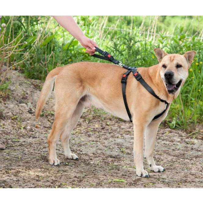 Dieser hochwertige Sicherheitsgurt aus schwarzem Kunstleder ist speziell für Hunde konzipiert und kann auch als Geschirr verwendet werden. Er bietet die einfachste Möglichkeit, Mensch und Tier während der Autofahrt zu schützen. Mit diesem Hunde-Sicherheitsgurt ist Ihr Haustier optimal gesichert und verhindert ein Herausspringen bei offener Tür oder Fenster, sodass Ihr Hund sicher an seinem Platz bleibt. Die praktischen Safety-Click Verschlüsse und die weiche Polsterung im Brustbereich sorgen für zusätzlichen Komfort. Das Geschirr wird einfach am vorhandenen Sicherheitsgurt befestigt und ist für alle gängigen Fahrzeugtypen geeignet – ein zusätzlicher Adapter ist nicht nötig. Erhältlich in der Farbe Schwarz und in Größe L für einen Brustumfang von ca. 50 - 70 cm, ist dieser Sicherheitsgurt eine ideale Lösung für alle Hundebesitzer, die Wert auf Sicherheit und Qualität legen.