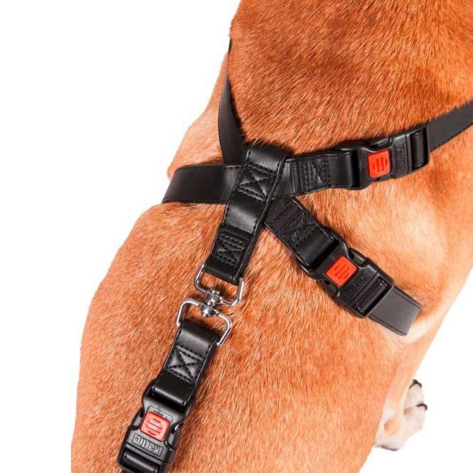 Dieser hochwertige Sicherheitsgurt aus schwarzem Kunstleder bietet optimalen Schutz für Hunde während der Autofahrt. Mit diesem praktischen Hunde-Sicherheitsgurt bleibt Ihr Tier sicher angeschnallt und verhindert ein Herausspringen bei offener Tür oder Fenster. Das Geschirr lässt sich einfach am vorhandenen Sicherheitsgurt befestigen und ist für alle gängigen Fahrzeugtypen geeignet, ohne dass ein zusätzlicher Adapter erforderlich ist. Ausgestattet mit sicheren Safety-Click Verschlüssen und einer weichen Polsterung im Brustbereich, garantiert es höchsten Komfort für Ihren Hund. Die Größe S ist ideal für einen Brustumfang von ca. 35 bis 50 cm. Schützen Sie Ihr Tier und fahren Sie sicher mit diesem zuverlässigen Hunde-Geschirr!