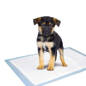 Die Puppy Pads sind hochgradig saugfähige Trainingsunterlagen, die effektiv Feuchtigkeit absorbieren und Ihre Umgebung sauber sowie trocken halten. Diese praktischen Hilfsmittel sind der ideale Begleiter für das Training und die Erziehung von Welpen. Sie sind perfekt geeignet, wenn Ihr Hund Welpen bekommt, oder für ältere sowie kranke Hunde. Darüber hinaus dienen sie auch als Einlagen für Transportboxen und sind optimal für das Puppy Potty Welpen-WC. Unsere Puppy Pads sind in verschiedenen Größen erhältlich, darunter die beliebte Größe von ca. 60 x 40 cm und im praktischen Set mit 10 Stück. Setzen Sie auf hohe Qualität und Funktionalität – für ein stressfreies Hundetraining!