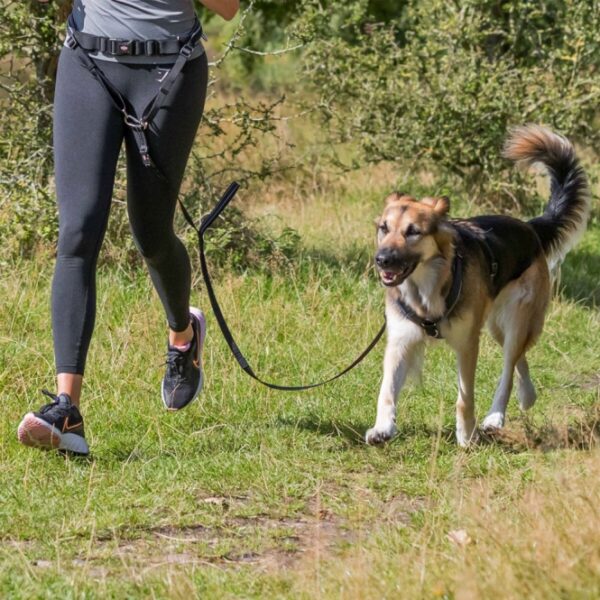Entdecken Sie das ideale Zubehör für aktive Hundebesitzer mit unserem hochwertigen Bauchgurt für Cani-Cross, Joggen und Walken. Das innovative Anlein-System sorgt dafür, dass der Zug Ihres Hundes gleichmäßig auf die Taille verteilt wird, wodurch ein komfortables und sicheres Erlebnis entsteht. Ruckartiges Ziehen wird durch einen effektiven Ruckdämpfer abgefedert, während die extra breite Neopren-Polsterung und der elastische Bauchgurt für maximalen Tragekomfort sorgen. Mit einem praktischen Schnappverschluss lässt sich die Leine schnell lösen, und die stufenlos verstellbare Leine mit Handschlaufe eignet sich auch perfekt zum normalen Führen. Zusätzliche Funktionen wie ein Karabinerhaken für Hundekotbeutel oder Schlüssel und reflektierende Elemente erhöhen die Sicherheit bei Dämmerung und Dunkelheit. Der Bauchgurt ist für einen Bauchumfang von ca. 70–120 cm geeignet und die Leine hat eine Länge von ca. 1,10–1,50 m mit einer Breite von 20 mm. Machen Sie Ihre Outdoor-Aktivitäten mit Ihrem Hund noch angenehmer und sicherer!