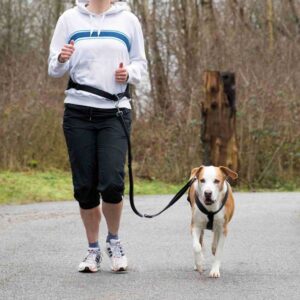 Entdecken Sie das ideale Hundegeschirr für mittelgroße und große Hunde, perfekt geeignet für Aktivitäten wie Joggen und Walken. Mit einer zugentlasteten Schnalle sorgt dieses Geschirr für optimalen Tragekomfort, dank der breiten Neopren-Polsterung, die sanft auf das Hundebauch wirkt. Der integrierte Ruckdämpfer federt ruckartiges Ziehen Ihres Hundes ab, was sowohl für Sie als auch für Ihren Vierbeiner angenehmer ist. Die praktische Leine mit Handschlaufe ermöglicht eine einfache Handhabung und eignet sich auch für das normale Führen. Reflektierende Elemente bieten zusätzliche Sicherheit bei Dämmerung und Dunkelheit. Die robusten Maße des Gurtes (ca. 75-120 cm/9 cm) und der Leine (ca. 1,20-1,50 m/25 mm) sowie der Bauchumfang (75-120 cm) machen dieses Geschirr zu einer ausgezeichneten Wahl für aktive Hundebesitzer. Wählen Sie das stilvolle schwarze Design für einen modernen Look. Holen Sie sich jetzt dieses hochwertige Hundegeschirr und genießen Sie gemeinsame Abenteuer mit Ihrem treuen Begleiter!