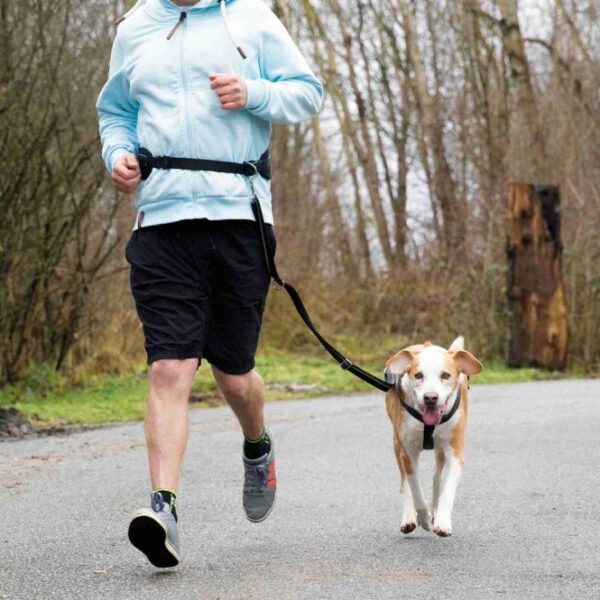 Entdecken Sie das ideale Hundegeschirr für mittelgroße und große Hunde, perfekt geeignet für Aktivitäten wie Joggen und Walken. Mit einer zugentlasteten Schnalle sorgt dieses Geschirr für optimalen Tragekomfort, dank der breiten Neopren-Polsterung, die sanft auf das Hundebauch wirkt. Der integrierte Ruckdämpfer federt ruckartiges Ziehen Ihres Hundes ab, was sowohl für Sie als auch für Ihren Vierbeiner angenehmer ist. Die praktische Leine mit Handschlaufe ermöglicht eine einfache Handhabung und eignet sich auch für das normale Führen. Reflektierende Elemente bieten zusätzliche Sicherheit bei Dämmerung und Dunkelheit. Die robusten Maße des Gurtes (ca. 75-120 cm/9 cm) und der Leine (ca. 1,20-1,50 m/25 mm) sowie der Bauchumfang (75-120 cm) machen dieses Geschirr zu einer ausgezeichneten Wahl für aktive Hundebesitzer. Wählen Sie das stilvolle schwarze Design für einen modernen Look. Holen Sie sich jetzt dieses hochwertige Hundegeschirr und genießen Sie gemeinsame Abenteuer mit Ihrem treuen Begleiter!