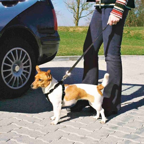 Das hochwertige Auto-Sicherheitsgeschirr von Trixie bietet optimalen Schutz und Komfort für Ihren Hund während der Autofahrt. Hergestellt aus robustem Nylon, ist es nicht nur langlebig, sondern auch als Führgeschirr vielseitig einsetzbar. Mit seiner extra Polsterung und der stufenlosen Verstellbarkeit im Brust- und Bauchbereich passt es sich ideal an die Körperform Ihres Vierbeiners an. Das Geschirr lässt sich einfach und schnell anlegen, wodurch es zu einer praktischen Lösung für den sicheren Auto-Transport wird. Zudem ist es mit einem stufenlos verstellbaren Kurzführer ausgestattet, jedoch nicht für Ford und Volvo geeignet. In elegantem Schwarz und in Größe M (ca. 50-70 cm) ist das Geschirr ideal für Hunde wie den Border Collie. Schützen Sie Ihren Hund mit diesem hochwertigen und praktischen Auto-Sicherheitsgeschirr!