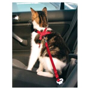 Der Sicherheitsgurt für Katzen bietet optimalen Schutz vor Verletzungen bei einem Unfall oder plötzlichem Bremsen. Hergestellt aus hochwertigem Nylon, ist er stufenlos verstellbar im Brust- und Bauchbereich, sodass er sich individuell anpassen lässt und einfach sowie schnell angelegt werden kann. Dieser vielseitige Sicherheitsgurt kann auch als Führgeschirr verwendet werden und ist somit ideal für Ausflüge mit Ihrem geliebten Haustier. Mit einem stufenlos verstellbaren Kurzführer ausgestattet, ist er nicht für Fahrzeuge wie Ford und Volvo geeignet. Die Maße betragen ca. 20 - 50 cm bei einer Breite von 15 mm und er ist in einem auffälligen Rot erhältlich. Schützen Sie Ihre Katze mit diesem praktischen und sicheren Produkt, das sowohl Komfort als auch Sicherheit bietet!