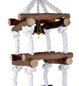 Dieser hochwertige Kletterturm für Vögel bietet mit seinen 12 Sprossen perfekten Kletterspaß und gleichzeitig ein effektives Training für Ihre gefiederten Freunde. Ideal geeignet für Wellensittiche, Kanarien und Finken, fördert er die Beweglichkeit und Fitness Ihrer Haustiere. Mit einer Länge von ca. 34 cm passt dieser Kletterturm optimal in jeden Käfig und sorgt für viel Abwechslung im Alltag Ihrer Vögel. Investieren Sie in die Gesundheit und das Wohlbefinden Ihrer Tiere mit diesem praktischen und ansprechenden Kletterspielzeug!