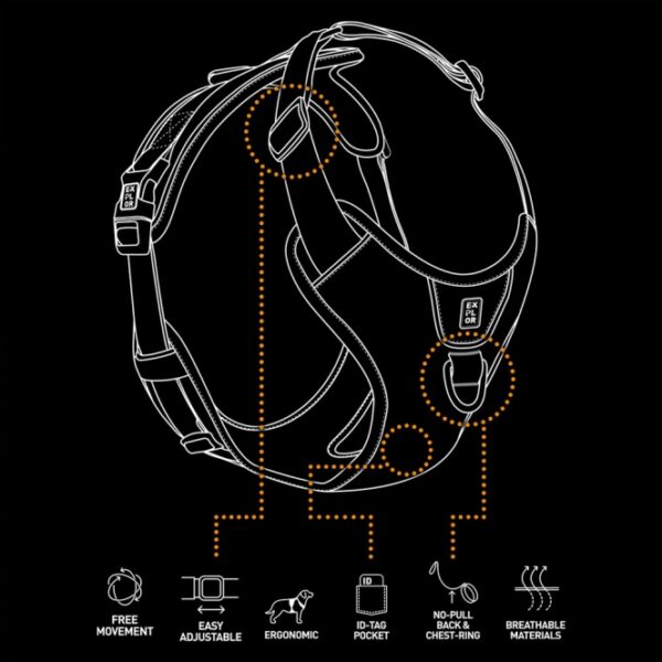 Entdecken Sie das EXPLOR Ultimate Fit No-Pull-Geschirr – das ideale ergonomische Hundegeschirr für entspannte Stadtspaziergänge und aufregende Outdoor-Abenteuer. Mit seinem durchdachten Design bietet es Ihrem Hund maximale Bewegungsfreiheit und verteilt den Druck beim Ziehen gleichmäßig über die Brust, wodurch empfindliche Organe im Nacken geschützt werden. Die hochwertigen, strapazierfähigen Materialien sind leicht und atmungsaktiv, ideal für Hunde, die gerne schwimmen. Ausgestattet mit zwei stabilen Edelstahl-Befestigungsringen und einem praktischen ID-Anhänger, sorgt das Geschirr für Sicherheit und Kontrolle. Die reflektierenden Paspeln gewährleisten optimale Sichtbarkeit im Straßenverkehr. Verstellbar um Nacken und Brust, passt es nahezu jedem Hund und lässt sich einfach anlegen, ohne dass Ihr Hund seine Beine anheben muss. Gönnen Sie Ihrem Hund das beste Komfort-Geschirr und gehen Sie gemeinsam auf Erkundungstour!