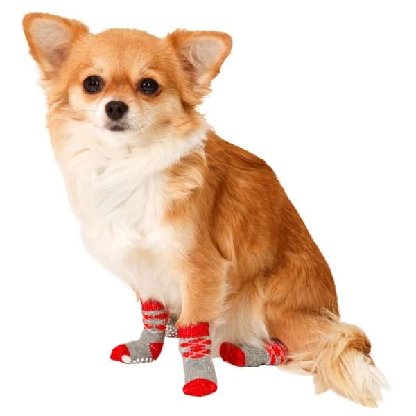 Die Doggy Socks sind die perfekte Lösung für Ihren Hund, um sicher auf glatten Böden wie Fliesen, Parkett und Laminat zu laufen. Mit ihrer rutschfesten Anti-Slip Sohle bieten sie optimalen Halt und schützen gleichzeitig die Pfoten Ihres Vierbeiners. Diese hochwertigen Socken sind in zwei attraktiven Designs erhältlich und eignen sich ideal als Pfotenschutz. Die Größe M passt beispielsweise für Rassen wie Spitz und Französische Bulldogge. Bitte messen Sie die Pfote Ihres Hundes vor der Bestellung, da die Pfotengröße innerhalb einer Rasse variieren kann. Jede Socke hat eine Auftrittsfläche von ca. 52 x 40 mm (LxB) und wird im praktischen Set von 4 Socken geliefert. Die Farben Rot/Grau verleihen den Socken zudem einen ansprechenden Look. Handwäsche sorgt dafür, dass die Socken lange in einem guten Zustand bleiben. Schützen Sie die Pfoten Ihres Hundes mit diesen praktischen und stilvollen Doggy Socks!