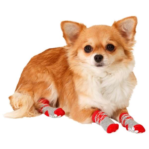 Die Doggy Socks sind die perfekte Lösung für Ihren Hund, um sicher auf glatten Böden wie Fliesen, Parkett und Laminat zu laufen. Mit ihrer rutschfesten Anti-Slip Sohle bieten sie optimalen Halt und schützen gleichzeitig die Pfoten Ihres Vierbeiners. Diese hochwertigen Socken sind in zwei attraktiven Designs erhältlich und eignen sich ideal als Pfotenschutz. Die Größe M passt beispielsweise für Rassen wie Spitz und Französische Bulldogge. Bitte messen Sie die Pfote Ihres Hundes vor der Bestellung, da die Pfotengröße innerhalb einer Rasse variieren kann. Jede Socke hat eine Auftrittsfläche von ca. 52 x 40 mm (LxB) und wird im praktischen Set von 4 Socken geliefert. Die Farben Rot/Grau verleihen den Socken zudem einen ansprechenden Look. Handwäsche sorgt dafür, dass die Socken lange in einem guten Zustand bleiben. Schützen Sie die Pfoten Ihres Hundes mit diesen praktischen und stilvollen Doggy Socks!