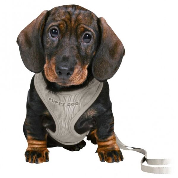 Dieser hochwertige Hundegeschirr aus Mesh-Material und robustem Gurtband bietet optimalen Komfort und Sicherheit für Ihren Vierbeiner. Der Nacken- und Bauchgurt ist stufenlos verstellbar, sodass das Geschirr perfekt an den Bauchumfang von ca. 26-34 cm angepasst werden kann. Mit der 3-fach verstellbaren Verlängerungsleine von 2,00 m haben Sie die volle Kontrolle über Ihren Hund, egal ob beim Spaziergang im Park oder beim Training. Zudem lässt sich das Geschirr einfach per Handwäsche reinigen, was es besonders pflegeleicht macht. In der eleganten Farbe hellgrau ist dieses Geschirr nicht nur funktional, sondern auch stilvoll. Investieren Sie in hohe Qualität und Sicherheit für Ihren Hund mit diesem praktischen und günstigen Geschirr!