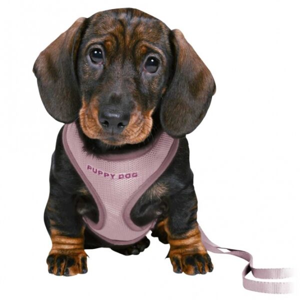 Entdecken Sie das perfekte Hundegeschirr aus hochwertigem Mesh-Material und robustem Gurtband, das sowohl Komfort als auch Sicherheit für Ihren Vierbeiner bietet. Mit einem stufenlos verstellbaren Nacken- und Bauchgurt passt sich dieses Geschirr ideal an Bauchumfänge von ca. 26-34 cm an. Die 3-fach verstellbare Verlängerungsleine mit einer Länge von 2,00 m ermöglicht Ihnen maximale Flexibilität beim Spazierengehen. Dieses praktische Geschirr kann einfach per Handwäsche gereinigt werden, was die Pflege zum Kinderspiel macht. In einem ansprechenden Mint-Ton ist es nicht nur funktional, sondern auch stilvoll – das ideale Zubehör für jeden Hundebesitzer, der Wert auf hohe Qualität und Benutzerfreundlichkeit legt.