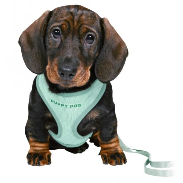 Entdecken Sie das perfekte Hundegeschirr aus hochwertigem Mesh-Material und robustem Gurtband, das sowohl Komfort als auch Sicherheit für Ihren Vierbeiner bietet. Mit einem stufenlos verstellbaren Nacken- und Bauchgurt passt sich dieses Geschirr ideal an Bauchumfänge von ca. 26-34 cm an. Die 3-fach verstellbare Verlängerungsleine mit einer Länge von 2,00 m ermöglicht Ihnen maximale Flexibilität beim Spazierengehen. Dieses praktische Geschirr kann einfach per Handwäsche gereinigt werden, was die Pflege zum Kinderspiel macht. In einem ansprechenden Mint-Ton ist es nicht nur funktional, sondern auch stilvoll – das ideale Zubehör für jeden Hundebesitzer, der Wert auf hohe Qualität und Benutzerfreundlichkeit legt.