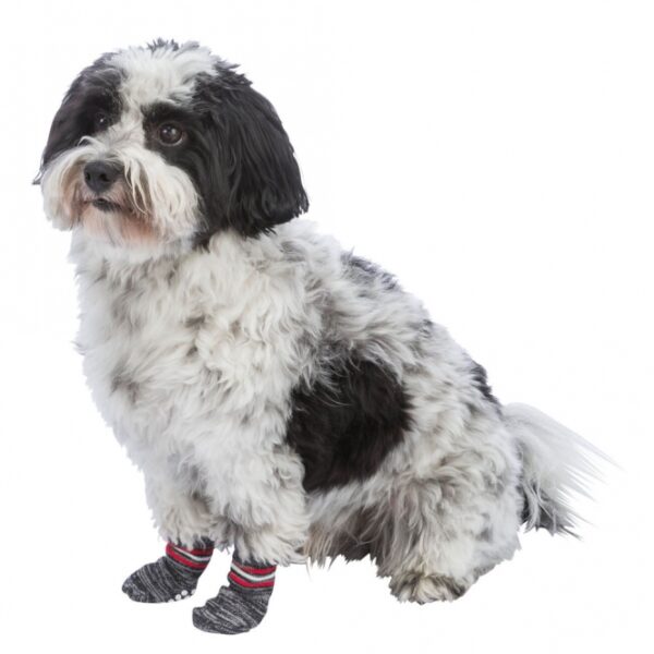 Die praktischen Hundesocken aus hochwertiger Baumwolle mit Elasthan sind der ideale Schutz für die Pfoten Ihres Vierbeiners. Dank der speziellen Antirutsch-Sohle bieten sie sicheren Halt auf glatten Böden, was besonders für ältere Hunde von Vorteil ist, die unter Rücken- und Gelenkschmerzen leiden. Diese Socken unterstützen nicht nur die Heilung von Verletzungen, sondern schützen auch Ihre Böden und Möbel vor unschönen Kratzspuren. Sie sind pflegeleicht und können bei 30° gewaschen werden. Erhältlich in der Farbe Grau und im praktischen 2er-Pack, sind sie in der Größe M-L perfekt geeignet für Rassen wie den Australian Shepherd. Schützen Sie die Gesundheit Ihres Hundes und verbessern Sie gleichzeitig den Komfort in Ihrem Zuhause mit diesen hochwertigen Hundesocken!