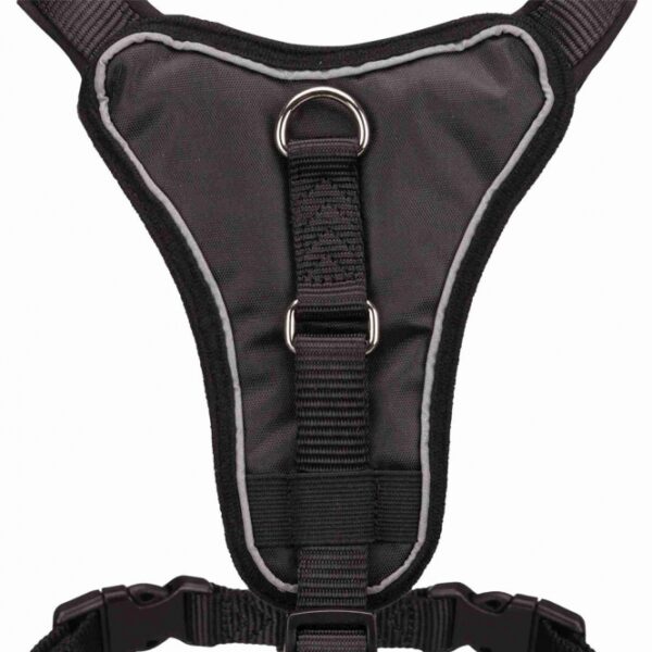 Entdecken Sie unser hochwertiges Gurtband mit einem breiten Brustpolster, das eine optimale Druckverteilung für maximalen Komfort bietet. Der stufenlos verstellbare Bruststeg und Bauchgurt ermöglichen eine individuelle Anpassung, sodass es perfekt sitzt. Die Neoprenpolsterung sorgt für zusätzlichen Komfort, während der integrierte Anleinring und die reflektierenden Elemente im Brustbereich für Sicherheit bei Nachtspaziergängen sorgen. Ideal für Hunde mit einem Bauchumfang von ca. 37-45 cm und einer Größe von XS-S – das Gurtband hat eine Materialbreite von ca. 15 mm und bietet somit eine ideale Kombination aus Funktionalität und Stil. Perfekt für aktive Hundehalter, die Wert auf hohe Qualität und Sicherheit legen!