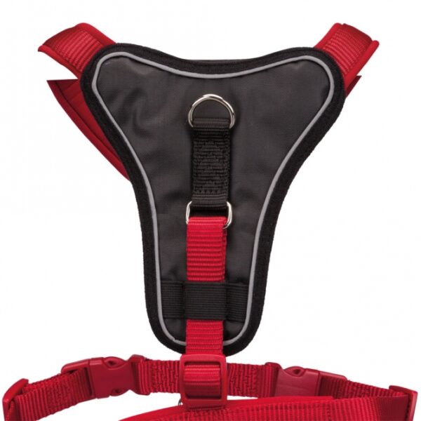 Dieses hochwertige Gurtband ist ideal für Haustierbesitzer, die Wert auf Komfort und Sicherheit legen. Mit einem breiten Brustpolster sorgt es für eine optimale Druckverteilung und erhöht den Tragekomfort für Ihren Hund. Der stufenlos verstellbare Bruststeg und Bauchgurt ermöglichen eine individuelle Anpassung, während die Neoprenpolsterung zusätzlichen Komfort bietet. Zudem verfügt das Gurtband über einen praktischen Anleinring und reflektierende Elemente im Brustbereich für mehr Sichtbarkeit bei Dunkelheit. In der auffälligen Farbe Rot und in den Größen XS-S (Bauchumfang ca. 37-45 cm) ist dieses Gurtband ein unverzichtbares Accessoire für jeden Hundebesitzer, der auf hohe Qualität und Funktionalität setzt.
