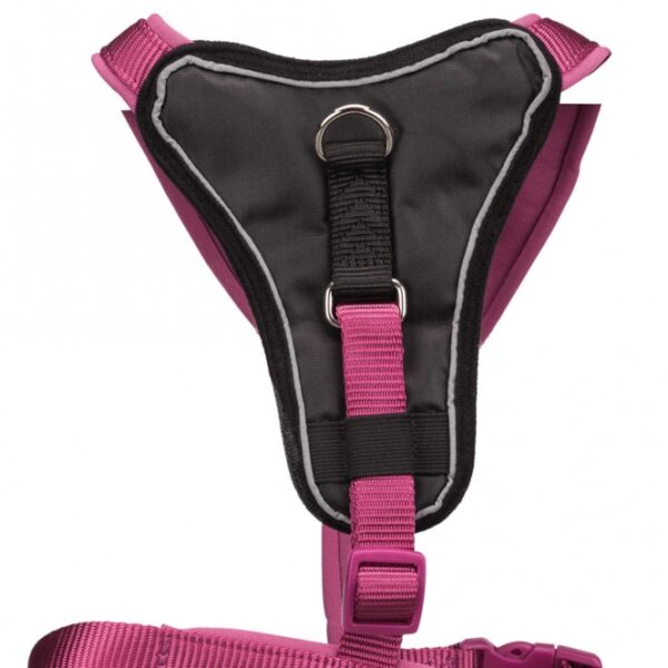 Entdecken Sie unser hochwertiges Gurtband mit optimaler Druckverteilung dank des breiten Brustpolsters. Der stufenlos verstellbare Bruststeg und Bauchgurt sorgen für maximalen Komfort und eine perfekte Passform für Ihren Hund. Die Neoprenpolsterung bietet zusätzlichen Schutz und Bequemlichkeit. Mit einem zusätzlichen Anleinring und reflektierenden Elementen im Brustbereich erhöhen Sie die Sicherheit bei nächtlichen Spaziergängen. In der ansprechenden Farbe Orchidee und in der Größe L-XL (Bauchumfang ca. 85-105 cm, Materialbreite ca. 25 mm) ist dieses Gurtband sowohl funktional als auch stilvoll. Ideal für alle Hundebesitzer, die Wert auf hohe Qualität und Sicherheit legen!