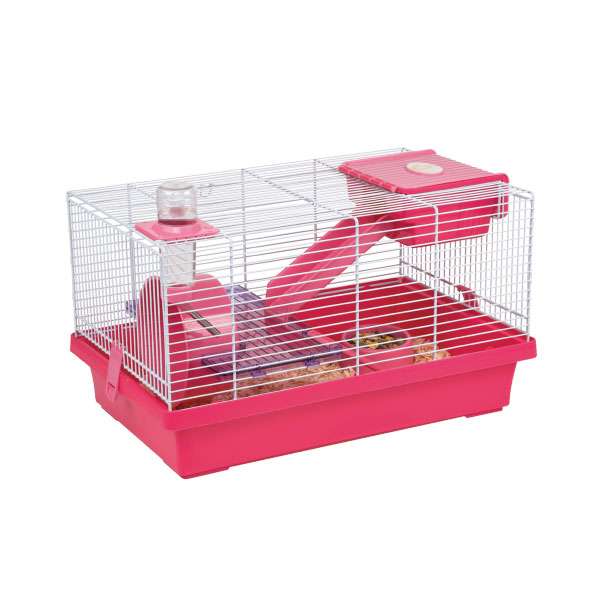 Der Hamsterkäfig Nicky ist die perfekte Wahl für alle, die ihren kleinen Freunden ein artgerechtes Zuhause bieten möchten. Dieser hochwertige Käfig kommt komplett mit einer durchdachten Innenausstattung zu Ihnen, sodass er sofort bezugsbereit ist. Er ist in zwei modernen Farbvarianten, Rosa und Lila, erhältlich und besteht aus einer robusten Kunststoffwanne und einem stabilen Metallgitter. Die umfangreiche Ausstattung umfasst ein gemütliches Häuschen, eine praktische Zwischenetage, zwei Leitern, ein Laufrad, eine Trinkflasche und einen Napf – alles aus hochwertigem Kunststoff. Mit den kompakten Maßen von ca. 46 x 27 x 30 cm (BxTxH) und einem Gitterabstand von 9 mm bietet der Käfig ausreichend Platz für Ihren Hamster, während er gleichzeitig in jedes Wohnambiente passt. Denken Sie daran: Je größer der Käfig, desto glücklicher wird Ihr Tier sein! Informieren Sie sich in unseren kostenlosen Tierratgebern über die optimalen Käfiggrößen und sorgen Sie für das Wohlbefinden Ihres kleinen Haustiers.