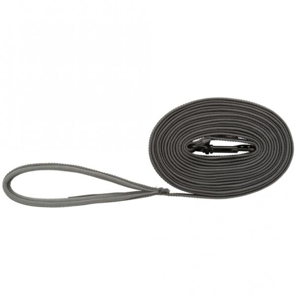 Dieses hochwertige Gurtband ist die ideale Lösung für alle Hundebesitzer, die Wert auf Sicherheit und Komfort legen. Mit einer Länge von 5 m und einer Breite von 17 mm bietet es genügend Spielraum für Ihren Vierbeiner. Die neoprengepolsterte Handschlaufe sorgt für einen angenehmen Halt und ist besonders rutschfest und griffig, was die Kontrolle über Ihren Hund erleichtert. Zudem verfügt das Gurtband über eine praktische Öse, die sich perfekt zum Befestigen der Hundemarke oder eines Flashers eignet. In der ansprechenden Farbgebung grafit/papaya ist dieses Gurtband nicht nur funktional, sondern auch ein echter Hingucker. Investieren Sie in Qualität und Sicherheit für entspannte Spaziergänge mit Ihrem Hund!