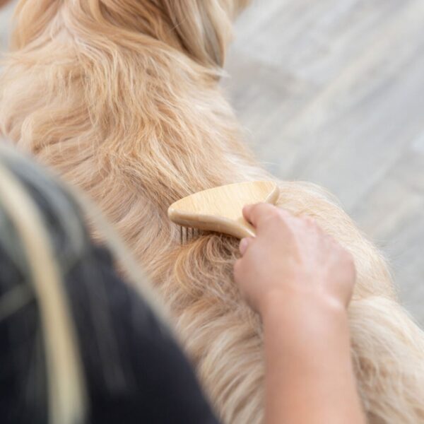 Dieser hochwertige Pflegekamm aus Bambus ist ideal zur Pflege der Unterwolle bei Hunden mit Lockhaar und Langhaar/Seidenhaar. Mit einer Zinkenlänge von 2,5 cm ermöglicht er eine gründliche und schonende Entwirrung des Fells, sodass Ihr Haustier sich wohlfühlt und sein Fell gesund bleibt. Die kompakten Maße von ca. 10 x 17 cm machen diesen Kamm zu einem praktischen Begleiter für unterwegs oder zu Hause. Vertrauen Sie auf hohe Qualität und Nachhaltigkeit mit diesem Bambuskamm, der die Fellpflege erleichtert und das Wohlbefinden Ihres Hundes fördert.