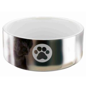 Dieser elegante Keramiknapf in Silber mit einem liebevollen Pfotenmotiv ist die perfekte Wahl für tierliebe Besitzer. Mit einem Fassungsvermögen von ca. 0,3 Litern eignet sich dieser Napf ideal für kleine Hunde oder Katzen. Der Durchmesser von ca. 12 cm sorgt dafür, dass Ihr Haustier bequem fressen oder trinken kann. Hergestellt aus hochwertiger Keramik, ist dieser Napf nicht nur stilvoll, sondern auch langlebig und pflegeleicht. Machen Sie das Füttern zu einem besonderen Erlebnis und bringen Sie mit diesem schönen Napf ein Stück Freude in den Alltag Ihres Lieblings!