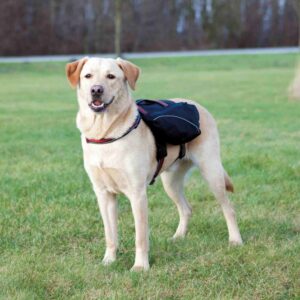 Entdecken Sie das vielseitige und hochwertige Hundegeschirr aus strapazierfähigem Nylon und Neopren, das nicht nur wasserabweisend ist, sondern auch durch abnehmbare Taschen als praktisches Geschirr genutzt werden kann. Mit einem Haltegriff und einem D-Ring zur sicheren Befestigung der Leine bietet es optimalen Tragekomfort dank der gepolsterten Auflagefläche und Schutzlaschen. Die stufenlos verstellbaren Hals-, Brust- und Bauchgurt sorgen für einen sicheren Sitz, während die anatomische Passform für zusätzlichen Komfort sorgt. Die Taschen sind mit drei wasserdichten Reißverschlüssen ausgestattet und verfügen über eine Öffnung zur einfachen Entnahme von Hundekotbeuteln. Reflektierende Paspeln und Streifen erhöhen die Sichtbarkeit bei Dunkelheit. Das Geschirr in der eleganten Farbkombination schwarz/rot ist in Größe L erhältlich und eignet sich für einen Bauchumfang von ca. 60-90 cm. Bei 30°C waschbar, ist es die perfekte Wahl für aktive Hundebesitzer, die Wert auf hohe Qualität und Funktionalität legen.