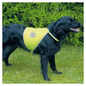 Diese hochwertige Sicherheitsweste für Hunde in leuchtendem Neongelb sorgt dafür, dass Ihr Vierbeiner sowohl tagsüber als auch nachts optimal sichtbar ist. Die speziellen Signalfarben und reflektierenden Streifen an Rücken und Hals sowie das reflektierende Pfotenmotiv garantieren, dass Ihr Hund in jeder Position schnell erkannt wird. Dank der zwei stufenlos verstellbaren Klettverschlüsse an Hals und Bauch lässt sich die Weste mühelos anlegen, was sie zu einem praktischen Begleiter für jeden Hundebesitzer macht. Zudem ist die Weste bei 30°C waschbar, sodass Sie sie jederzeit sauber halten können. Die Größe L passt für einen Halsumfang von ca. 48 - 62 cm und einen Brustumfang von ca. 64 - 81 cm. Schützen Sie Ihren Hund mit dieser funktionalen und stilvollen Sicherheitsweste!