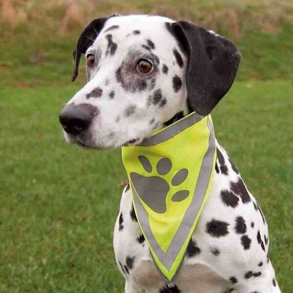 Dieser hochwertige Hundehalsband aus strapazierfähigem Polyester ist perfekt für alle Hunde, die Sicherheit und Stil lieben. Mit seinen reflektierenden Elementen sorgt das neongelbe Halsband dafür, dass Ihr Hund auch bei Dunkelheit gut sichtbar ist. Der praktische Klettverschluss ermöglicht ein einfaches An- und Ausziehen, während die waschbare Eigenschaft bei 30°C für eine einfache Reinigung sorgt. Das Halsband ist in der Größe L-XL erhältlich und passt für einen Halsumfang von ca. 43-60 cm. Investieren Sie in die Sicherheit und den Komfort Ihres Hundes mit diesem stilvollen und funktionalen Halsband!