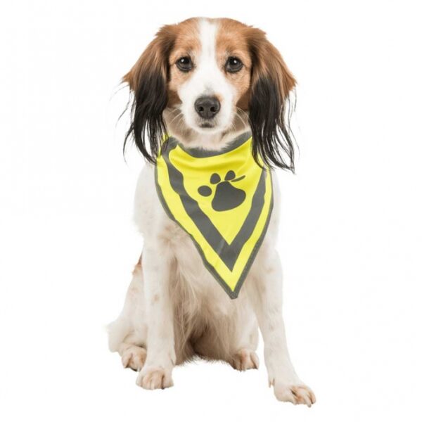 Dieser hochwertige Hundehalsband aus strapazierfähigem Polyester ist perfekt für alle Hunde, die Sicherheit und Stil lieben. Mit seinen reflektierenden Elementen sorgt das neongelbe Halsband dafür, dass Ihr Hund auch bei Dunkelheit gut sichtbar ist. Der praktische Klettverschluss ermöglicht ein einfaches An- und Ausziehen, während die waschbare Eigenschaft bei 30°C für eine einfache Reinigung sorgt. Das Halsband ist in der Größe L-XL erhältlich und passt für einen Halsumfang von ca. 43-60 cm. Investieren Sie in die Sicherheit und den Komfort Ihres Hundes mit diesem stilvollen und funktionalen Halsband!