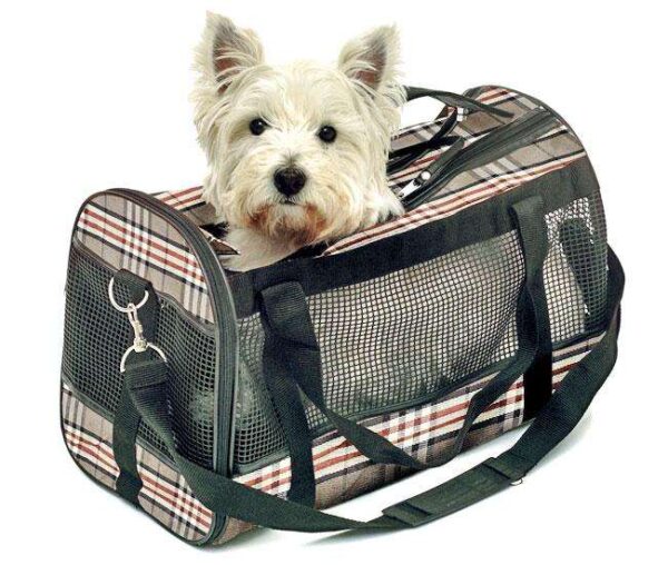 Entdecken Sie die perfekte Tragetasche für Ihre Haustiere – ideal für Hunde und Katzen bis zu 15 kg. Diese robuste und stilvolle Tasche misst 50 x 27 x 31 cm und besteht aus hochwertigem Nylon, das für Langlebigkeit sorgt. Ausgestattet mit einer praktischen Pet-ID-Card und einer Halsband-Arretierung, bietet sie zusätzlichen Schutz und Sicherheit für Ihr Tier. Der komfortable Schultergurt ermöglicht ein einfaches Tragen, während das geringe Gewicht von nur 0,96 kg die Mobilität unterstützt. Wählen Sie diese praktische und günstige Haustiertragetasche für stressfreies Reisen mit Ihrem vierbeinigen Freund!