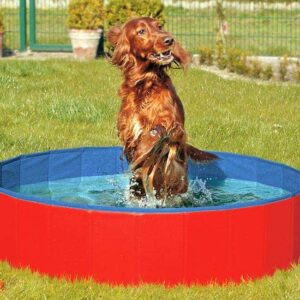 Entdecken Sie den **DOGGY POOL**, den perfekten Swimmingpool für Hunde, der in Sekundenschnelle auf- und abgebaut werden kann – ganz ohne Luftpumpe und mühsames Aufblasen. Dieser hochwertige Hundepool verfügt über einen **Anti-Rutsch-Innenboden**, der für Sicherheit beim Spielen sorgt. Dank seines **robusten und krallenbewährten Materials** ist er besonders langlebig und hält auch den aktivsten Hunden stand. Wenn der Pool nicht mehr benötigt wird, lässt er sich platzsparend zusammenlegen und ist somit ideal für Balkons oder Terrassen mit Mauerbrüstung. Mit dem praktischen **Wasser-Ablassventil** ist die Reinigung kinderleicht und hygienisch. Der DOGGY POOL hat die Maße **80 x 20 cm** und ist in einem ansprechenden **Rot-Blau** erhältlich. Machen Sie Ihren vierbeinigen Freund glücklich und sorgen Sie für erfrischenden Badespaß an heißen Tagen!