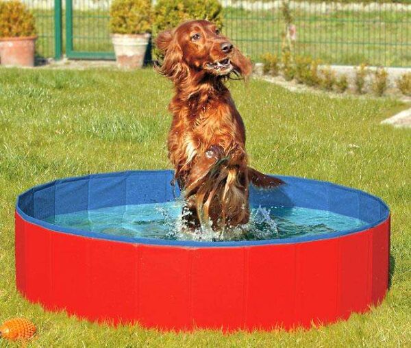 Der DOGGY POOL ist der ideale Swimmingpool für Hunde und sorgt für jede Menge Spaß an heißen Tagen. In Sekundenschnelle ist der Pool auf- und abgebaut – ganz ohne Luftpumpe und lästiges Aufblasen! Der rutschfeste Innenboden sorgt für Sicherheit, während das besonders starke und robuste Material krallenbewährt ist, sodass selbst aktive Hunde ihn problemlos nutzen können. Bei Nichtgebrauch lässt sich der Doggy Pool platzsparend zusammenlegen und ist einfach zu reinigen. Mit einem praktischen Wasser-Ablassventil wird das Entleeren zum Kinderspiel. Zudem ist der Pool in rechteckiger Form erhältlich, perfekt für Balkons oder Terrassen mit Mauerbrüstung. Größe: 120 x 30 cm, Farbe: Rot-Blau. Holen Sie sich jetzt diesen hochwertigen Hundepool für unvergessliche Sommertage!