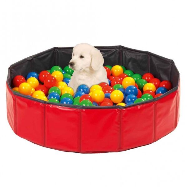 Die bunten Spielbälle verwandeln jeden Doggy Pool in ein farbenfrohes Bällebad und sind ideal für die Welpenerziehung in der wichtigen Prägungsphase. Dieses hochwertige Set umfasst 250 Spielbälle mit einem Durchmesser von ca. 6 cm, die Ihrem Welpen stundenlangen Spaß und Spiel bieten. Die leuchtenden Farben fördern die visuelle Wahrnehmung und stimulieren die Neugier Ihres Hundes. Bitte beachten Sie, dass der Pool nicht im Lieferumfang enthalten ist. Investieren Sie in die Entwicklung Ihres Welpen mit diesen tollen Spielbällen – für eine spielerische und lehrreiche Zeit!