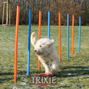 **Verbesserte Produktbeschreibung für Agility Stangen** Entdecken Sie die vielseitigen Agility Stangen, die sich ideal für verschiedene Trainingsvarianten und Schwierigkeitsgrade eignen. Diese hochwertigen Stangen werden mit einer praktischen Richtschnur mit Maßeinteilung geliefert, um Ihnen den Aufbau zu erleichtern. Regelmäßige Bewegung fördert nicht nur die Fitness Ihres Hundes, sondern sorgt auch für ein gesundes und langes Leben. Schaffen Sie mit diesen Agility Stangen ein abwechslungsreiches Fitnessprogramm, das die Bindung zwischen Ihnen und Ihrem Hund stärkt und Vertrauen aufbaut. **Produktdetails:** - 12 rostfreie Agility Stangen mit Schutztüllen für maximale Sicherheit - Einfache Auf- und Abbauweise für flexibles Training - Inklusive Nylontransporttasche für platzsparende Aufbewahrung - Maße: 115 cm Länge x 3 cm Durchmesser **Tipps für ein erfolgreiches Training:** - Wärmen Sie Ihren Hund vor dem Training immer auf, um Verletzungen zu vermeiden. - Steigern Sie die Anforderungen langsam und passen Sie das Training an die Rasse, das Alter und die Größe Ihres Hundes an. - Achten Sie darauf, dass das Training mit positiven Erfahrungen endet, um die Motivation Ihres Hundes zu fördern. Nutzen Sie die Agility Stangen für ein effektives und unterhaltsames Training, das nicht nur die körperliche Fitness Ihres Hundes verbessert, sondern auch die gemeinsame Zeit bereichert. Ideal für Hundesportvereine und Wettkämpfe! Starten Sie jetzt mit dem Agility Training und bringen Sie die Fitness Ihres Hundes auf das nächste Level!