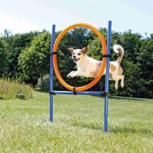 Dieser vielseitige Trainingsständer ist die perfekte Lösung für alle, die ihre Fitnessziele erreichen möchten. Mit einer stufenlos verstellbaren Höhe lässt sich der Ständer individuell anpassen, während die Klettbänder eine einfache Fixierung bieten. Das Set besteht aus 2 stabilen Ständern, 1 Ring, 2 Querstreben, 4 Auflagen und verschiedenen Fixierungen, die eine hohe Qualität und Langlebigkeit garantieren. Der schnelle Auf- und Abbau erfolgt mühelos dank der praktischen Schnellspannverschlüsse. Zudem wird der Trainingsständer in einer praktischen Transporttasche geliefert, sodass er leicht transportiert werden kann. Die Maße betragen ca. 115 x ø 3 cm und ø 65 cm, und die ansprechende Farbkombination in Blau und Orange sorgt für einen modernen Look. Inklusive einer detaillierten Trainingsanleitung, ist dieses Produkt ideal für alle Fitnessbegeisterten!