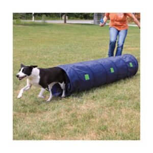 Dieser hochwertige Agility Tunnel ist perfekt für kleine Hunde und Welpen und bietet ein abwechslungsreiches Fitnessprogramm, das Ihren Hund gesund und fit hält. Durch das gemeinsame Spielen stärken Sie die Beziehung zu Ihrem vierbeinigen Freund und schaffen Vertrauen. Der Tunnel lässt sich schnell auf- und abbauen und ist sowohl für drinnen als auch draußen geeignet. Er besteht aus robustem Nylonmaterial und wird mit einer praktischen Nylontasche geliefert, die den Transport und die platzsparende Aufbewahrung erleichtert. Mit Tipps zum Fitnesstraining und zur optimalen Anwendung ausgestattet, ist dieser Tunnel der ideale Begleiter für aktive Hundebesitzer. Fördern Sie die Fitness und das Wohlbefinden Ihres Hundes mit diesem vielseitigen Agility Tunnel, der eine Länge von 2 Metern und einen Durchmesser von 40 cm hat. Beginnen Sie noch heute mit dem Training und erleben Sie, wie viel Spaß Ihr Hund dabei hat!