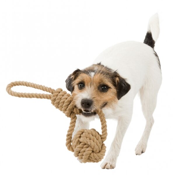 Dieser hochwertige Spielball aus einer robusten Baumwolle-Polyester-Mischung hat einen Durchmesser von ca. 8 cm und eine Länge von ca. 30 cm, ideal für aktive Hunde und Katzen. Mit seinem strapazierfähigen Material sorgt er für stundenlangen Spielspaß und fördert die körperliche Aktivität Ihrer Tiere. Zudem unterstützt der Verkauf dieser Serie wichtige Meeresschutzprojekte und trägt somit aktiv zum Natur- und Artenschutz bei. Entscheiden Sie sich für diesen umweltfreundlichen Spielball und bieten Sie Ihrem Haustier nicht nur Freude, sondern auch ein gutes Gewissen.