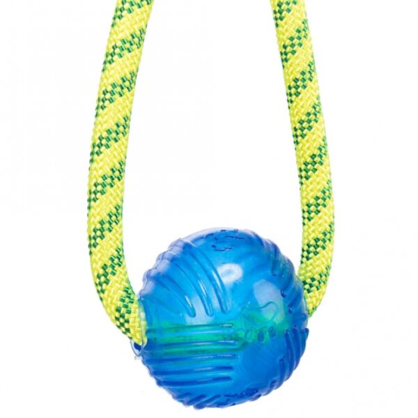 Dieser hochwertige Schwimmartikel aus strapazierfähigem Polyester und thermoplastischem Gummi (TPR) ist perfekt für den Einsatz im Wasser geeignet. Mit einem Durchmesser von ca. 6 cm und einer Länge von 40 cm schwimmt er mühelos und sorgt für stundenlangen Spaß im Pool oder am Strand. Die verschiedenen Farben bringen Abwechslung ins Spiel, wobei die genaue Farbwahl aufgrund des Lagerbestands nicht garantiert werden kann. Vertrauen Sie auf dieses langlebige und flexible Produkt, das sowohl für Kinder als auch für Erwachsene geeignet ist – ideal für unvergessliche Tage im Wasser!