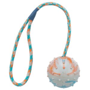 Entdecken Sie unser hochwertiges Naturgummi-Spielzeug mit einem Durchmesser von ca. 6/30 cm, ideal für Hunde und andere Haustiere. Dieses langlebige Spielzeug ist nicht nur robust, sondern auch in verschiedenen Farben erhältlich – eine Farbwahl ist leider nicht möglich, da die Farbe je nach Lagerbestand zufällig ausgewählt wird. Mit seinem umweltfreundlichen Material aus Naturgummi bietet es eine sichere und gesunde Spielmöglichkeit für Ihren Vierbeiner. Wählen Sie Qualität und Spaß für Ihr Haustier – ein ideales Spielzeug für stundenlangen Spielspaß!