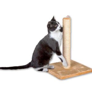 Der Karlie Kratzbaum BELLA ist die perfekte Wahl für Katzenliebhaber, die ihren Vierbeinern einen komfortablen und funktionalen Rückzugsort bieten möchten. Dieser hochwertige Kratzbaum besteht aus einer stabilen Bodenplatte und einem robusten Sisal-Stamm, der ideal zum Krallenschärfen ist. Die plüschbezogene Oberfläche sorgt für einen gemütlichen Schlafplatz, während der Sisal-Kratzstamm die natürliche Kratzgewohnheit Ihrer Katze unterstützt. Mit kompakten Gesamtmaßen von 29 x 29 x 39 cm (BxTxH) und einem Stammdurchmesser von ca. 6 cm passt dieser Kratzbaum perfekt in jede Wohnung. In elegantem Beige fügt er sich harmonisch in Ihr Zuhause ein und bietet Ihrer Katze einen Ort zum Entspannen und Spielen. Investieren Sie in den Karlie Kratzbaum BELLA – für glückliche und gesunde Katzen!
