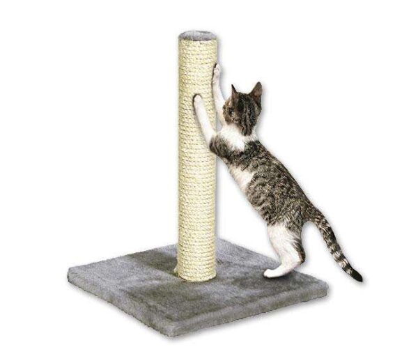Der Karlie Kratzbaum BELLA ist die perfekte Lösung für Katzenliebhaber, die ihren vierbeinigen Freunden einen gemütlichen Rückzugsort bieten möchten. Mit einer stabilen Bodenplatte und einem robusten Sisal-Stamm, der einen Durchmesser von ca. 6 cm hat, ist dieser Kratzbaum nicht nur ideal zum Krallenschärfen, sondern auch ein komfortabler Schlafplatz für Ihre Katze. Die Gesamtmaße von 29 x 29 x 39 cm (BxTxH) machen ihn zu einer platzsparenden und eleganten Ergänzung für jedes Zuhause. Der weiche Plüschbezug sorgt für zusätzlichen Komfort und lädt zum Entspannen ein. Wählen Sie den Karlie Kratzbaum BELLA in ansprechendem Grau und bieten Sie Ihrer Katze einen hochwertigen, langlebigen Kratzbaum, der sowohl Funktionalität als auch Stil vereint.