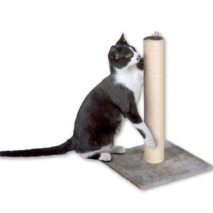 Der Karlie Kratzbaum Lisa ist die perfekte Lösung für Katzenliebhaber, die ihren Haustieren einen komfortablen und funktionalen Rückzugsort bieten möchten. Er besteht aus einer stabilen Bodenplatte, die mit weichem Plüsch bezogen ist, und einem robusten Sisal-Stamm, ideal zum Krallenschärfen. Der Kratzbaum bietet nicht nur einen gemütlichen Schlafplatz, sondern auch eine hervorragende Möglichkeit, die Krallen Ihrer Katze gesund zu halten. Mit kompakten Gesamtmaßen von 38 x 38 x 59 cm (BxTxH) und einem Stammdurchmesser von 9 cm passt er in jede Wohnung. Investieren Sie in hohe Qualität und sorgen Sie für das Wohlbefinden Ihrer Katze mit diesem günstigen und stilvollen Kratzbaum!