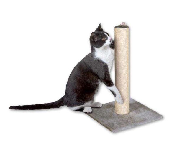 Der Karlie Kratzbaum Lisa ist die perfekte Lösung für Katzenliebhaber, die ihren Haustieren einen komfortablen und funktionalen Rückzugsort bieten möchten. Er besteht aus einer stabilen Bodenplatte, die mit weichem Plüsch bezogen ist, und einem robusten Sisal-Stamm, ideal zum Krallenschärfen. Der Kratzbaum bietet nicht nur einen gemütlichen Schlafplatz, sondern auch eine hervorragende Möglichkeit, die Krallen Ihrer Katze gesund zu halten. Mit kompakten Gesamtmaßen von 38 x 38 x 59 cm (BxTxH) und einem Stammdurchmesser von 9 cm passt er in jede Wohnung. Investieren Sie in hohe Qualität und sorgen Sie für das Wohlbefinden Ihrer Katze mit diesem günstigen und stilvollen Kratzbaum!